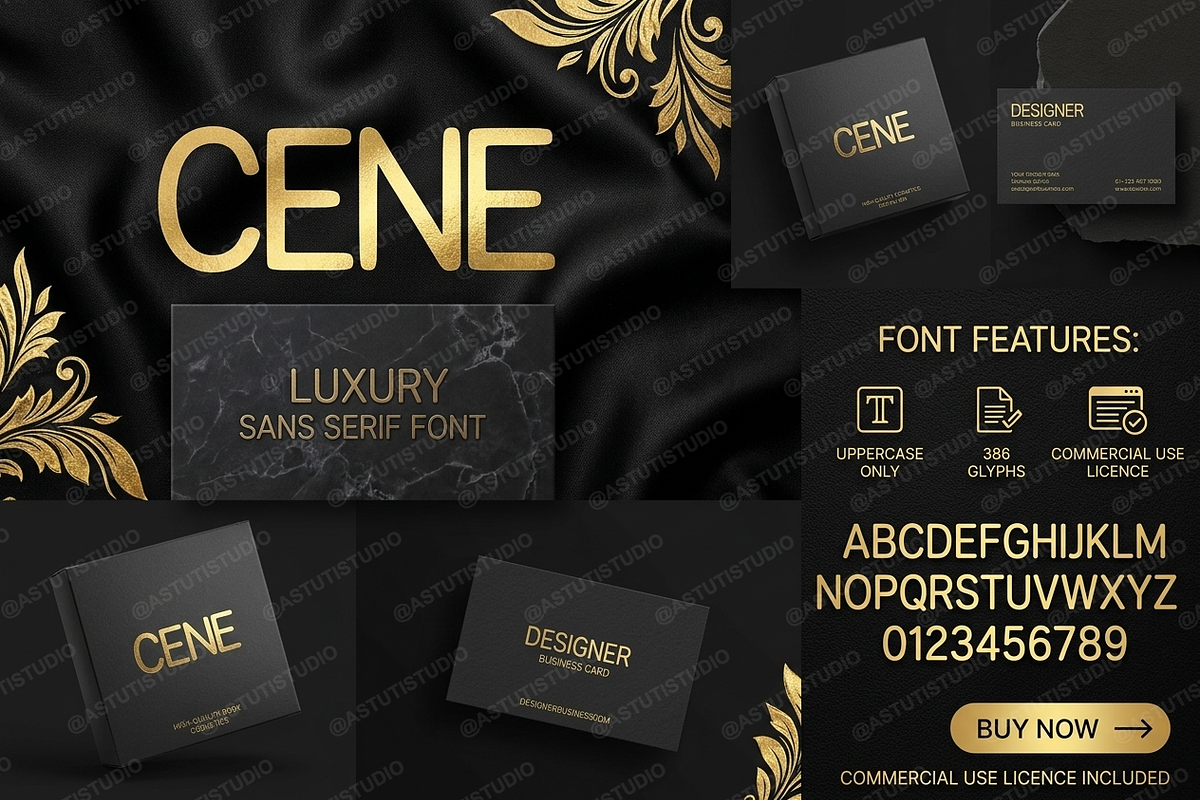 Cene | Modern Luxury Serif, a Serif Font by Astuti Studio (Photo 19 of 25)
