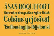 Morthern Font + Extras, a Handwritten Font by Graptail (Thumbnail 12 of 14)