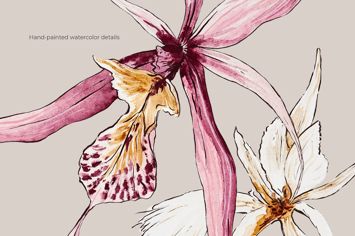 Orchid Herbarium Pattern Collection, a Pattern Graphic by SurfaceStories (Photo 5 of 12)