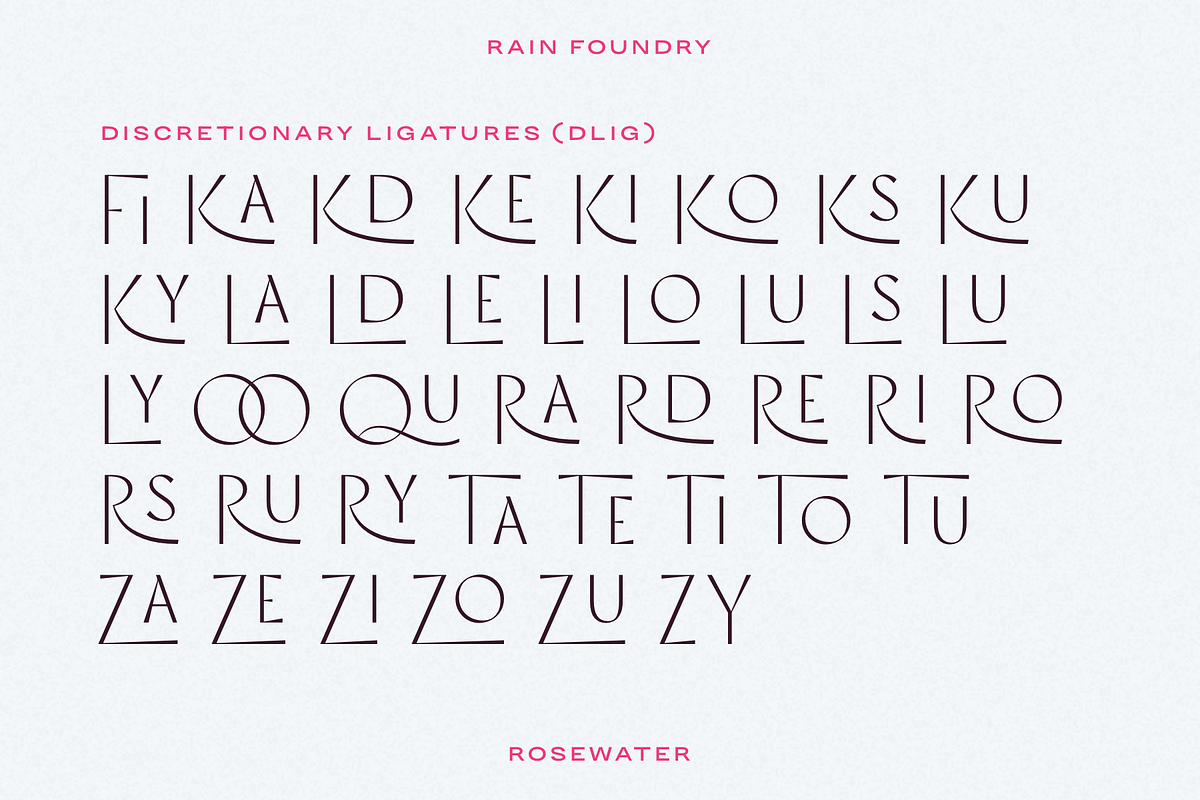 Rosewater (Variable), a Sans Serif Font by Rain Foundry (Photo 9 of 10)