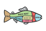 Salmon icons, a Background Graphic by Tomass2015 (Thumbnail 2 of 3)