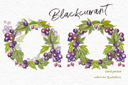 Blackcurrant in botanical style, an Illustration by Ann Astro (Thumbnail 7 of 7)