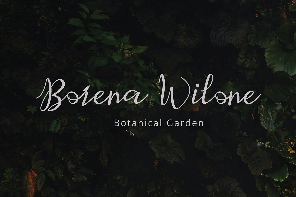 Retafia Script, a Handwritten Font by Eltypesstudio (Photo 4 of 10)