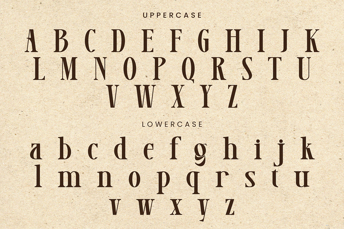 Lamoonze - Serif Display Font, a Serif Font by Randi Irvan | Rvandtype (Photo 12 of 14)