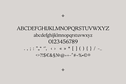 The Hudson Serif, a Serif Font by gafaroff studio (Thumbnail 8 of 8)