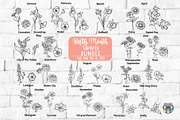 Birth Month Flowers Svg Bundle, an Object Graphic by HeyLenaArts (Thumbnail 1 of 9)
