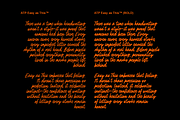 Easy as This - Handwritten Script, a Script Font by Typeparties (Thumbnail 10 of 10)