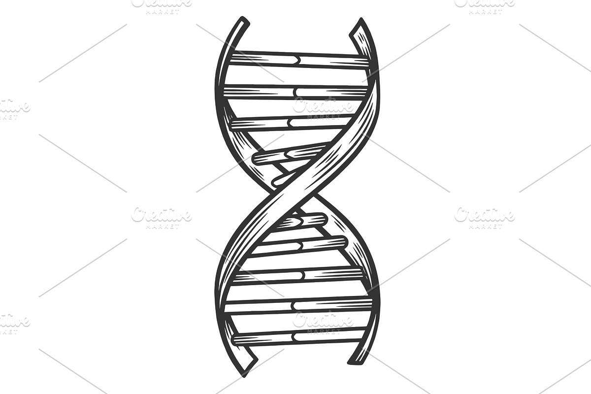 DNA Double Helix Genetic Structure, a Healthcare Illustration by AlexArt