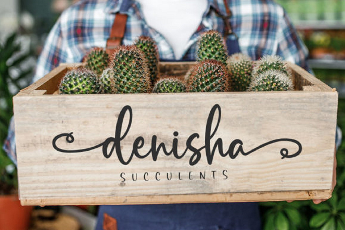 Rustic Pantry Font, a Script Font by QualityGraphics (Photo 6 of 10)