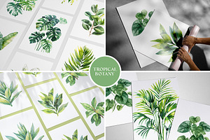 Watercolor Painting Tropical Plant, a Decorative Illustration by Vibrand Studio