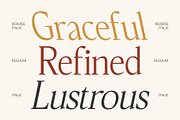 CS Quinzel – Contemporary Font, a Serif Font by Craft Supply Co. (Thumbnail 3 of 8)