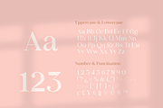 Abigail Nagita - Display Serif Font, a Serif Font by Artchitype Studio (Thumbnail 15 of 16)