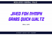 RESILIENCY FONT FAMILY, a Sans Serif Font by Alphabet Agency (Thumbnail 6 of 11)