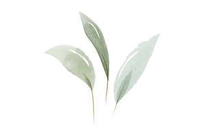 Watercolor green leaves decorative, an Object Illustration by okskukuruza