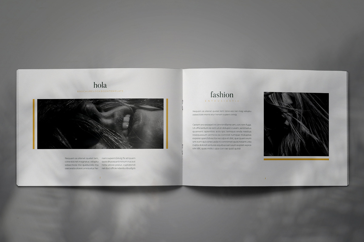 STYLE - Brochure Lookbook Template, a Brochure Template by Indotitas (Photo 2 of 9)