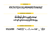 Yellow shoes, a Script Font by oldschool designer co (Thumbnail 5 of 5)