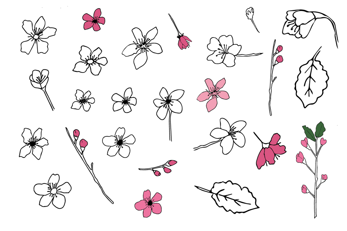 Spring blossoms doodles, a Decorative Illustration by Emjwalker (Photo 3 of 3)