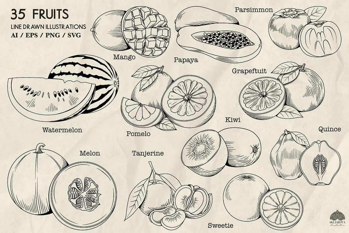 Fruits Line Art + Procreate, a Food Illustration by Skliarova (Photo 2 of 4)