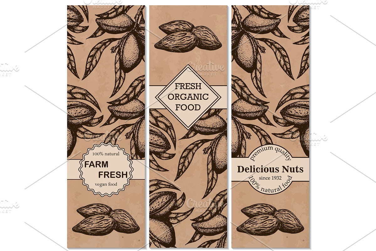 Vector set of hand-drawn patterns with almonds in a retro style., a Food Illustration by SHom