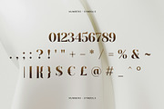 Decatlon Luxury Serif Font, a Serif Font by Wencory (Thumbnail 3 of 4)