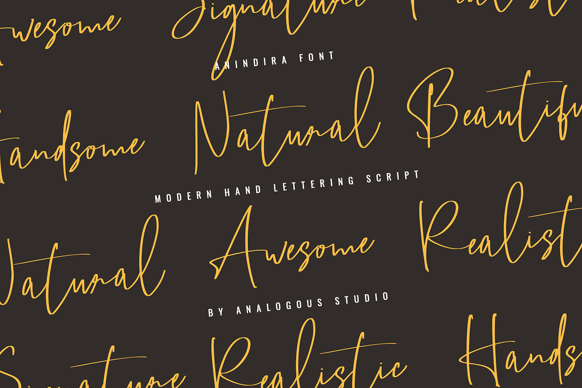Radines || Handlettered Script preview 8