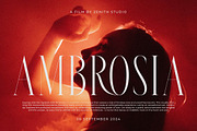 Meksron Modern Serif Font, a Serif Font by Letterena Studios (Thumbnail 11 of 15)
