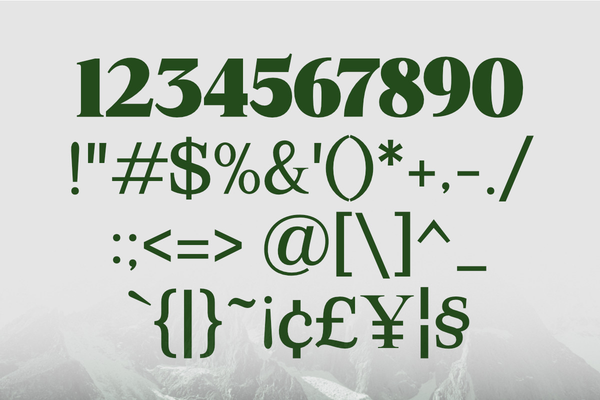 Mount Sagilite – Modern Serif Family, a Serif Font by Afkari Studio (Photo 4 of 12)