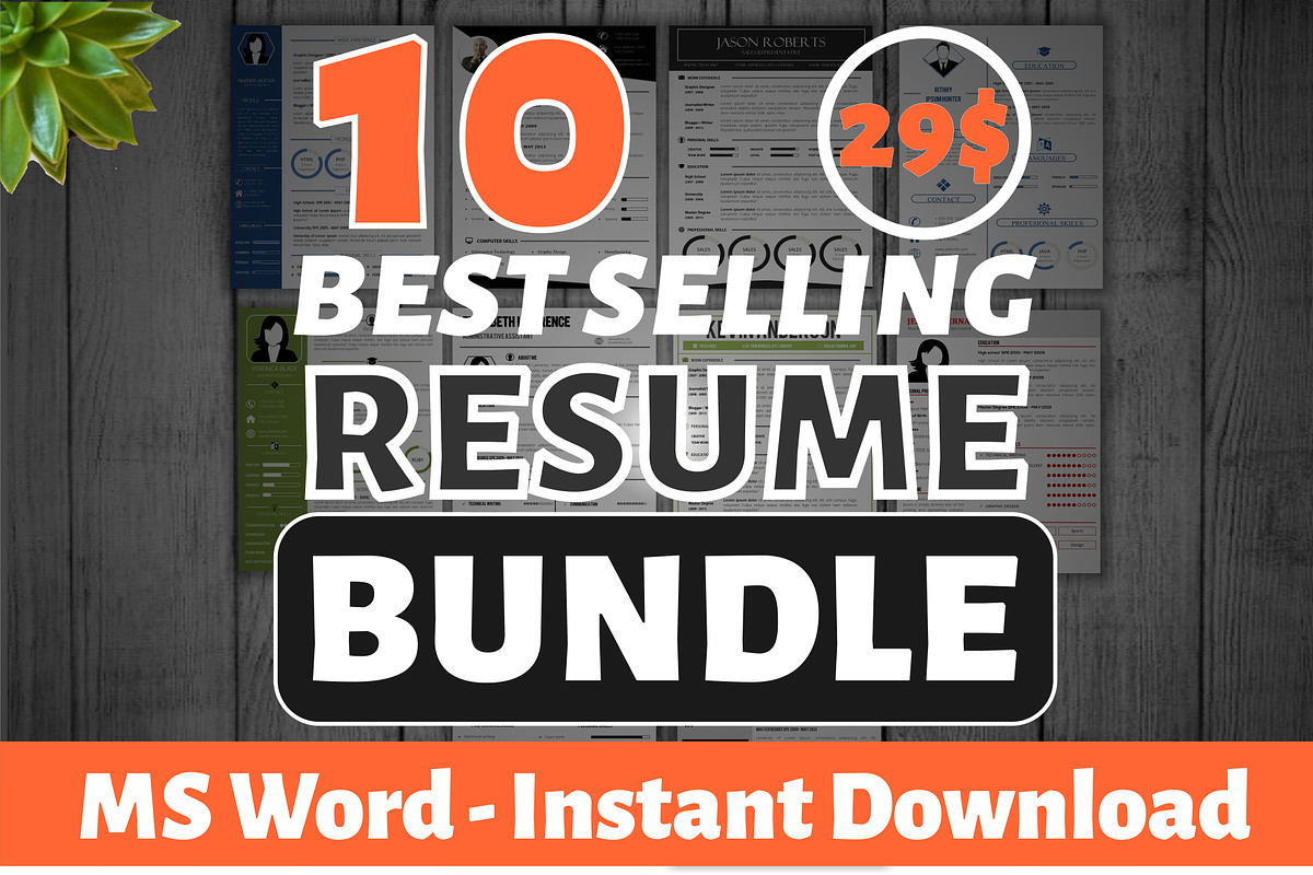 10 Best Selling Resume Mega Bundle preview 3