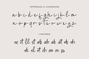 Rellyond, a Handwritten Font by Gatype (Thumbnail 7 of 8)