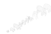 Low Poly Forest Animals Pack 1, an Animal 3D Model by Anton Moek (Thumbnail 3 of 12)