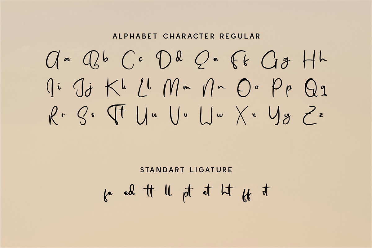 Tamyra Fyne - Bold Handwritten, a Handwritten Font by Indotype Foundry (Photo 6 of 10)