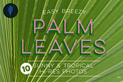 Photo Suite: Palm Leaves