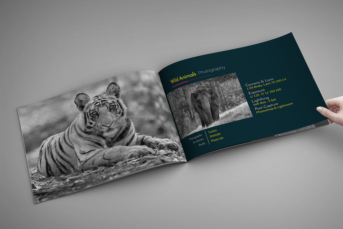 Portfolio Photo Book, a Magazine Template by Graphic_Art (Photo 3 of 6)