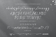 Shutterland Handbrush Script, a Script Font by Creatype Studio (Thumbnail 8 of 9)