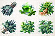 Botanical Wellness Watercolor Png, an Icon by RobertsArt (Thumbnail 3 of 7)