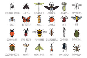 Insects Set