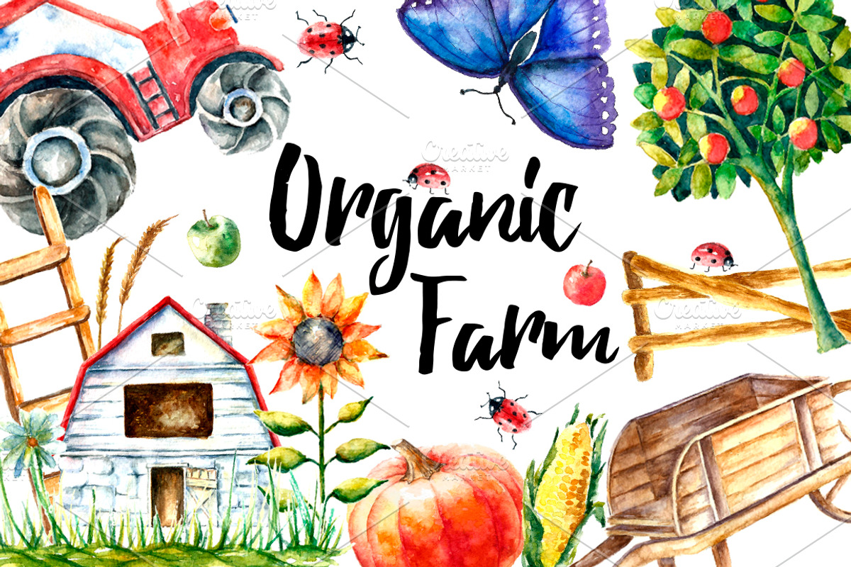 Watercolor Organic Farm, a Food Illustration by Vikeriya (Photo 1 of 7)