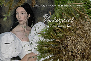 Leaf Imprints, Forest Scans & Paper, an Object Graphic by Purple (Thumbnail 2 of 20)