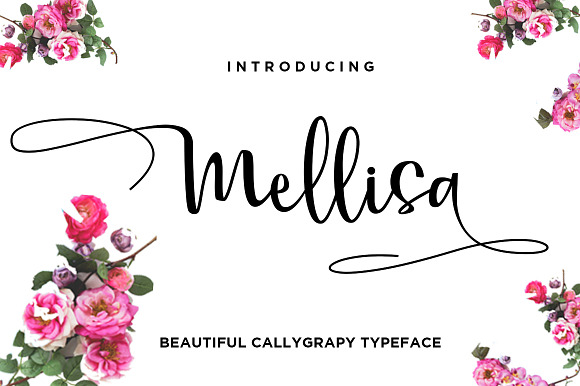 Mellisa Calligraphy Font preview 7