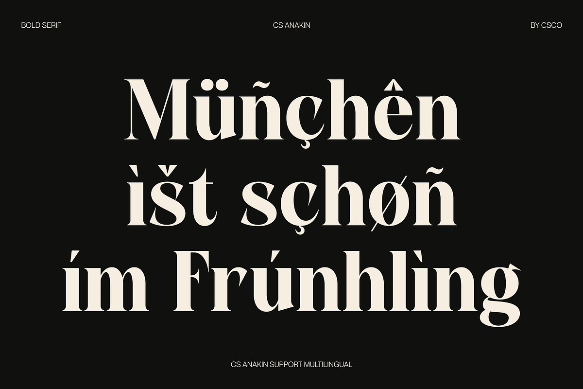 CS Anakin, a Serif Font by Craft Supply Co. (Photo 7 of 8)