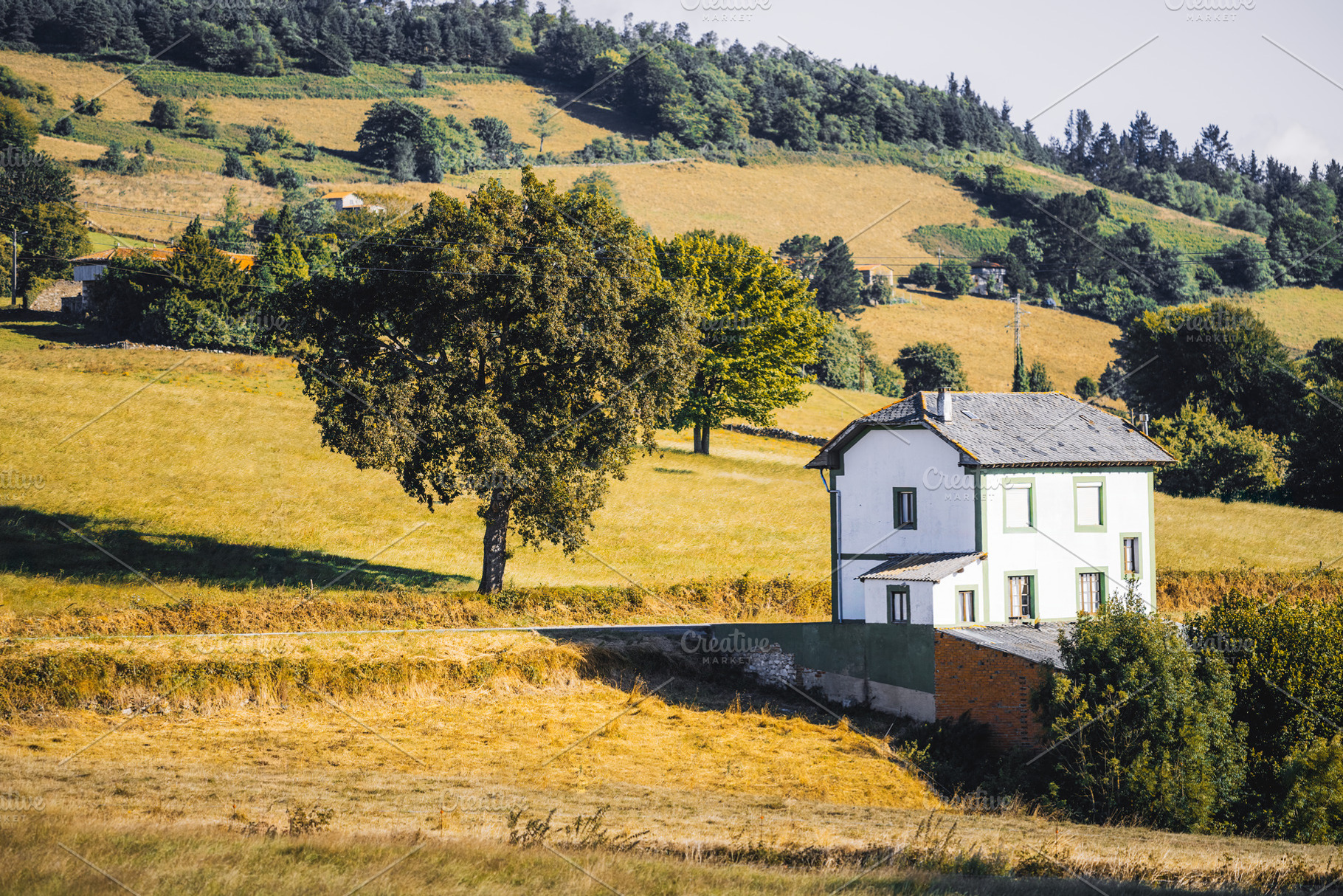 Countryside house in fields, an Architecture Photo by SkyNext