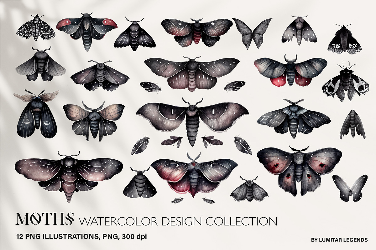 Watercolor Moths: PNG Clipart Set, an Object Graphic by Lumitar (Photo 1 of 4)