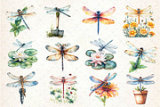 Summer Dragonfly Garden Clipart, an Illustration by Dream Creation (Thumbnail 3 of 4)