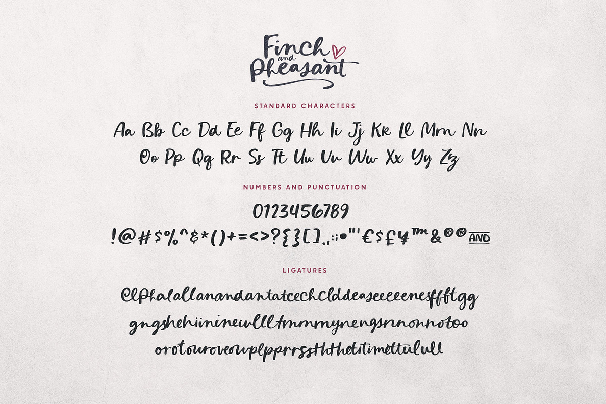 Finch & Pheasant Script, a Font by Callie Rian & Co. (Photo 8 of 12)