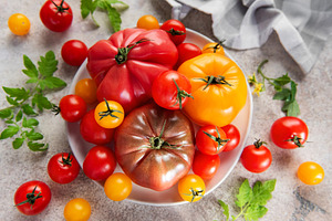 Fresh organic heirloom tomatoes from garden harvest, a Food & Drink Photo by Olena Rudo
