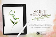 Watercolor Procreate brushes Botany, a Brush Add-On by Yuliya Derbisheva (Thumbnail 10 of 13)