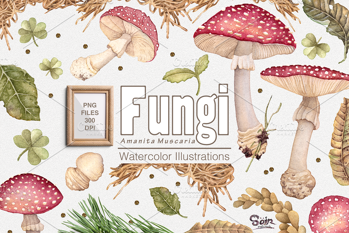 Fungi watercolor, an Illustration by Soir Creative (Photo 1 of 3)