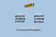 Harley - Stylish Brush, a Script Font by ARSAVISUAL (Thumbnail 8 of 9)