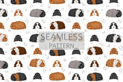 Texel Guinea Pig set, an Animal Illustration by pet design shop (Thumbnail 4 of 5)