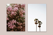 Lifestyle Bundles Collection 5, a Beauty & Fashion Photo by Floral Deco (Thumbnail 27 of 65)